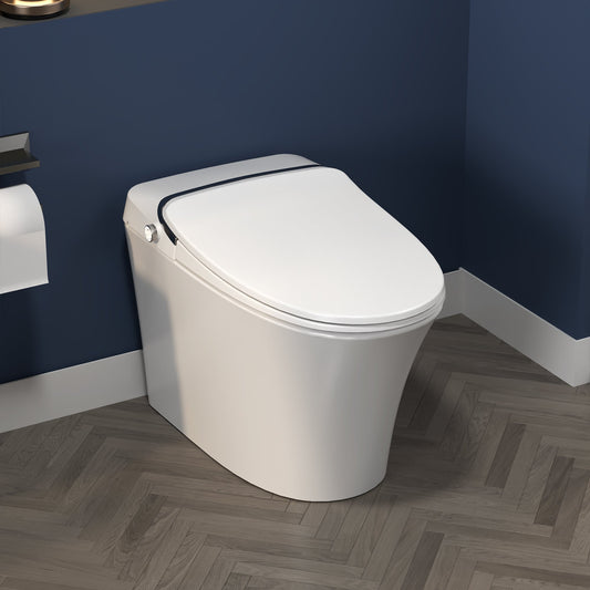 ExBrite Luxury Smart Toilet with Dryer,Warm Water,Elongated Bidet,Heated Seat,Remote Control,Night Light,Power Outage Flushing,Soft Close - ExBriteUSA