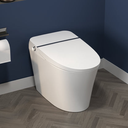 ExBrite Smart Toilet,Bidet with Self-Cleaning Nozzle,Dual Flush 1-1.28 GPF,Clear at room temperature,Knob Control,Power Outage Flushing,Soft Close - ExBriteUSA