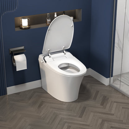 ExBrite Luxury Smart Toilet with Dryer,Warm Water,Elongated Bidet,Heated Seat,Remote Control,Night Light,Power Outage Flushing,Soft Close - ExBriteUSA