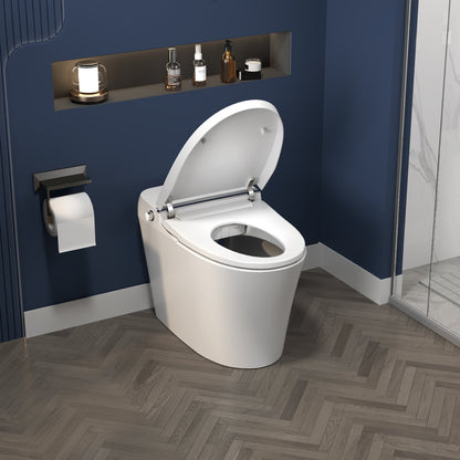 ExBrite Smart Toilet,Bidet with Self-Cleaning Nozzle,Dual Flush 1-1.28 GPF,Clear at room temperature,Knob Control,Power Outage Flushing,Soft Close - ExBriteUSA