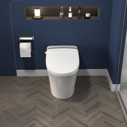 ExBrite Luxury Smart Toilet with Dryer,Warm Water,Elongated Bidet,Heated Seat,Remote Control,Night Light,Power Outage Flushing,Soft Close - ExBriteUSA