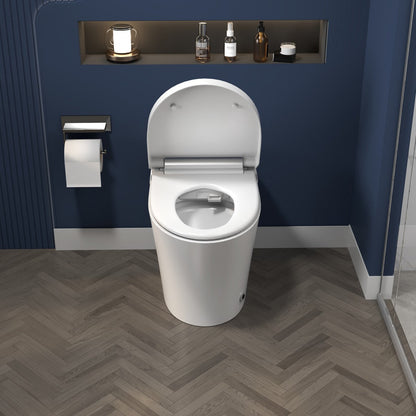 ExBrite Smart toilet with Built-in Adjustable Temp Heated Seat, Auto Flush, 1.28 GPF, Foot sensor Flush, White Night Light - ExBriteUSA