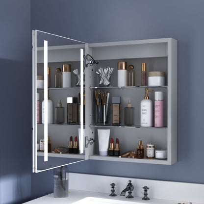 Boost-M1 20 in. W x 26 in. H inch Recessed or Surface Mount Framed Aluminum Medicine Cabinet Adjustable Shelves,Hinge on the Left - ExBriteUSA