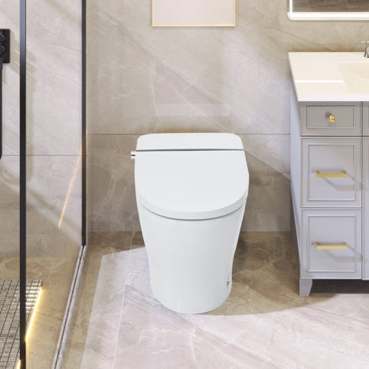 ExBrite Smart Toilet,Bidet with Self - Cleaning Nozzle,Dual Flush 1 - 1.28 GPF,Clear at room temperature,Knob Control,Power Outage Flushing,Soft Close