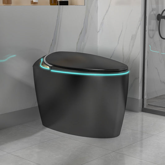 EP Exbrite Unique Smart Toilet with Bidet Built In, Intelligent One Piece Toilet For Modern Bathroom, Auto Open/Close Seat, Foot Sensor, LED Display,Night Light, Warm Water & Dryer, Black